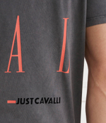 Футболка Just Cavalli - серый(76OAHE04CJW13)
