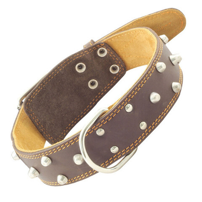 Ошейник двойной с украшением и кольцом кожаный, 45*810мм, Gamma