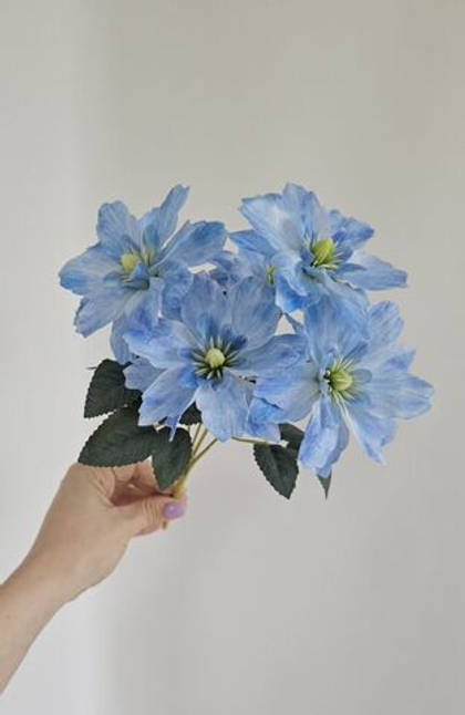 Клематис / Арт 2584