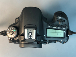 Canon 70D, 3100 кадров пробега