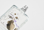 Escentric Molecules Molecule 01