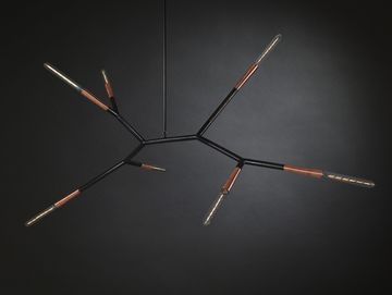 PHASMIDA by christopher boots