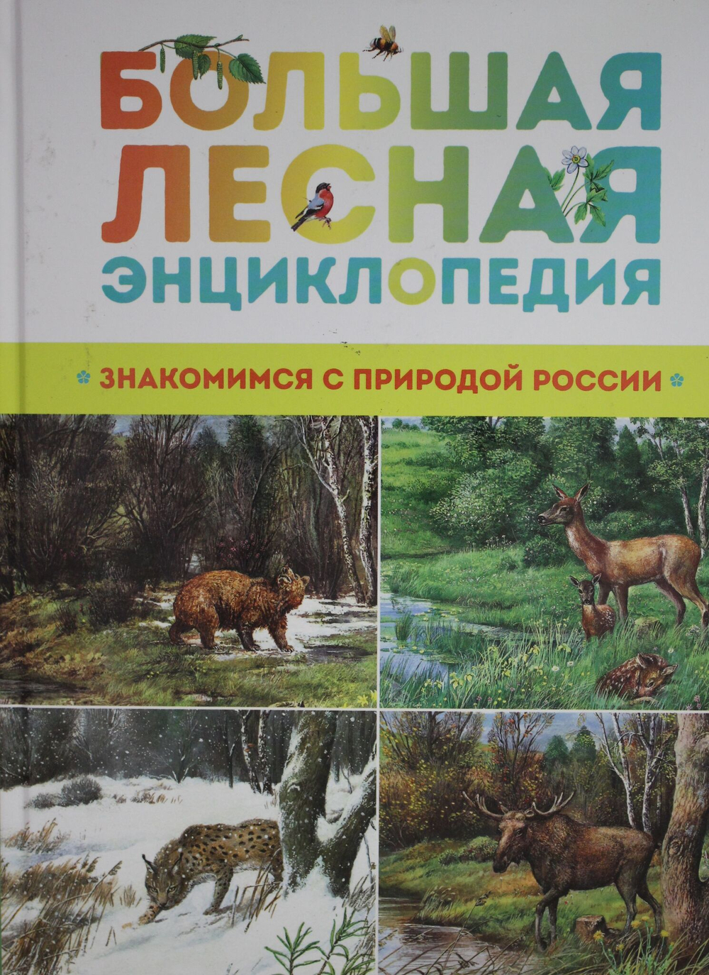 Большая лесная энциклопедия. Знакомимся с природой России