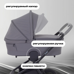 Детская коляска Rant Flex 3 в 1 RA077 Graphite