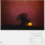 Fleetwood Mac / Bare Trees (LP)