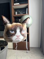 Воздушные шары №6273