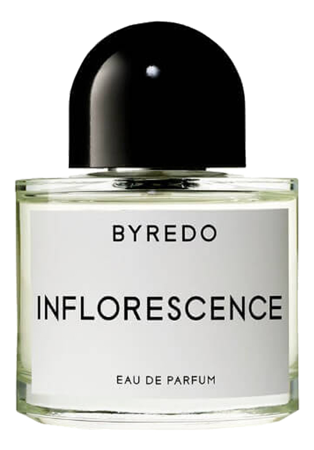 BYREDO Inflorescence