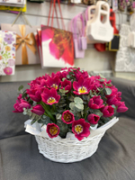 Корзина "51 тюльпан"