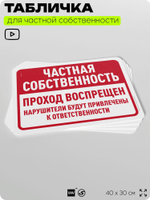 Табличка для частной территории "Частная собственность, проход воспрещен", на дом, для участка, организаций, предупреждающая, 40х30 см, Silver Plane x Айдентика Технолоджи