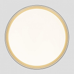 Накладной светильник Citilux BOSS CL751451G