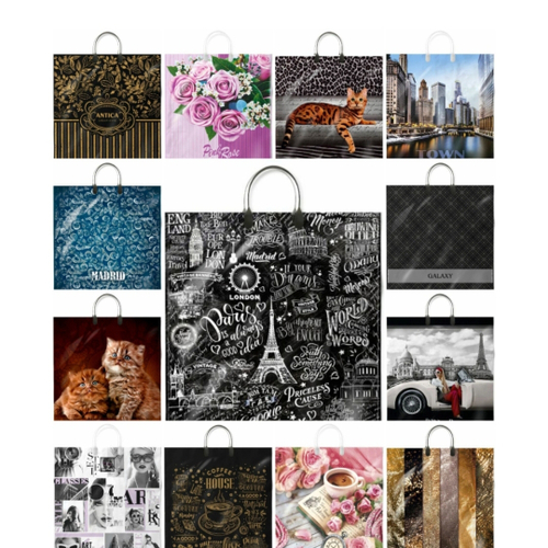 ПАКЕТ С ПЛАСТИКОВОЙ РУЧКОЙ ВИЛСОН МАЛ.