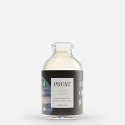 PRUST Диффузор Шторм на Юпитере (белый перец, кожа, ветивер, пихта, амбра), 33 мл