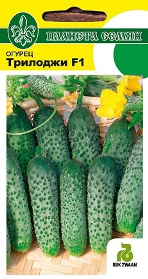 Огурец Трилоджи F1