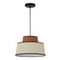 Подвесной светильник ST Luce Jackie SL1354.423.01