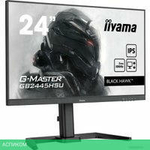 Игровой монитор Iiyama G-Master Black Hawk GB2445HSU-B1