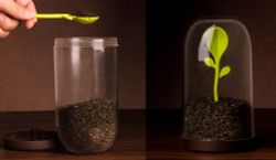 Контейнер для сыпучих продуктов Sprout Jar