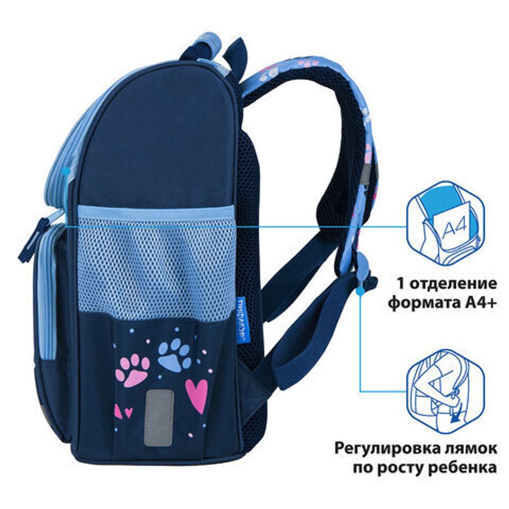 Ранец ПИФАГОР BASIC, с эргономичной спинкой, "Little friend", 35х28х18 см, 270684