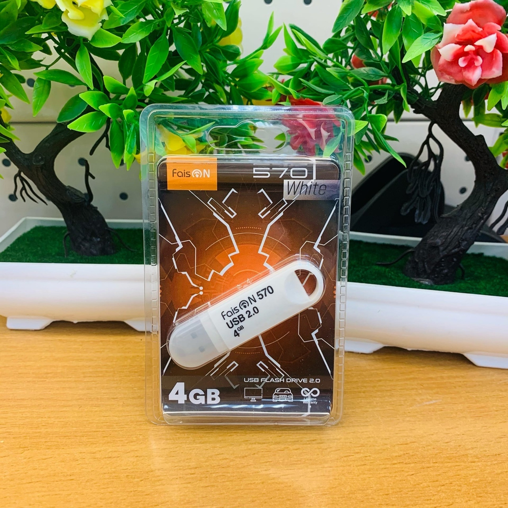 USB Флешка 4GB Faison 620, USB 2.0, белая