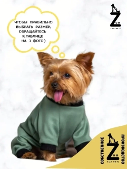 Комбинезон для собак