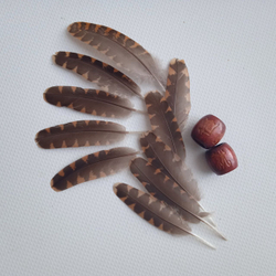 Перья вальдшнепа 4-7 см. 10 шт.