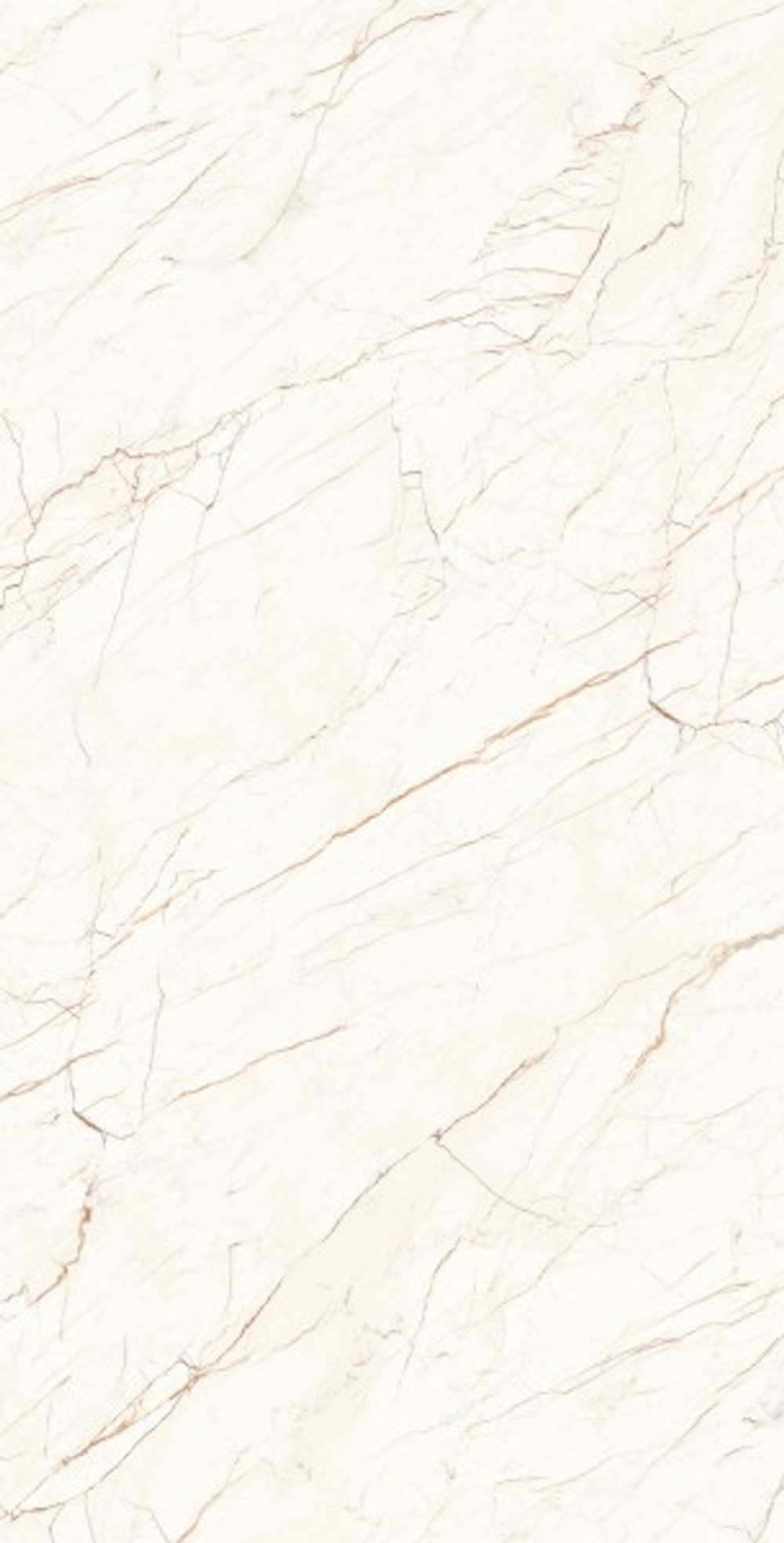 CEASAR LAPPATO CL4001-A