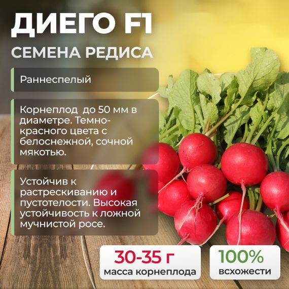 ДИЕГО F1 семена редиса (Hazera) культура