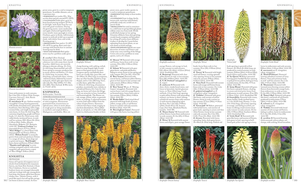 RHS A-Z Encyclopedia of Garden Plants 4th edition