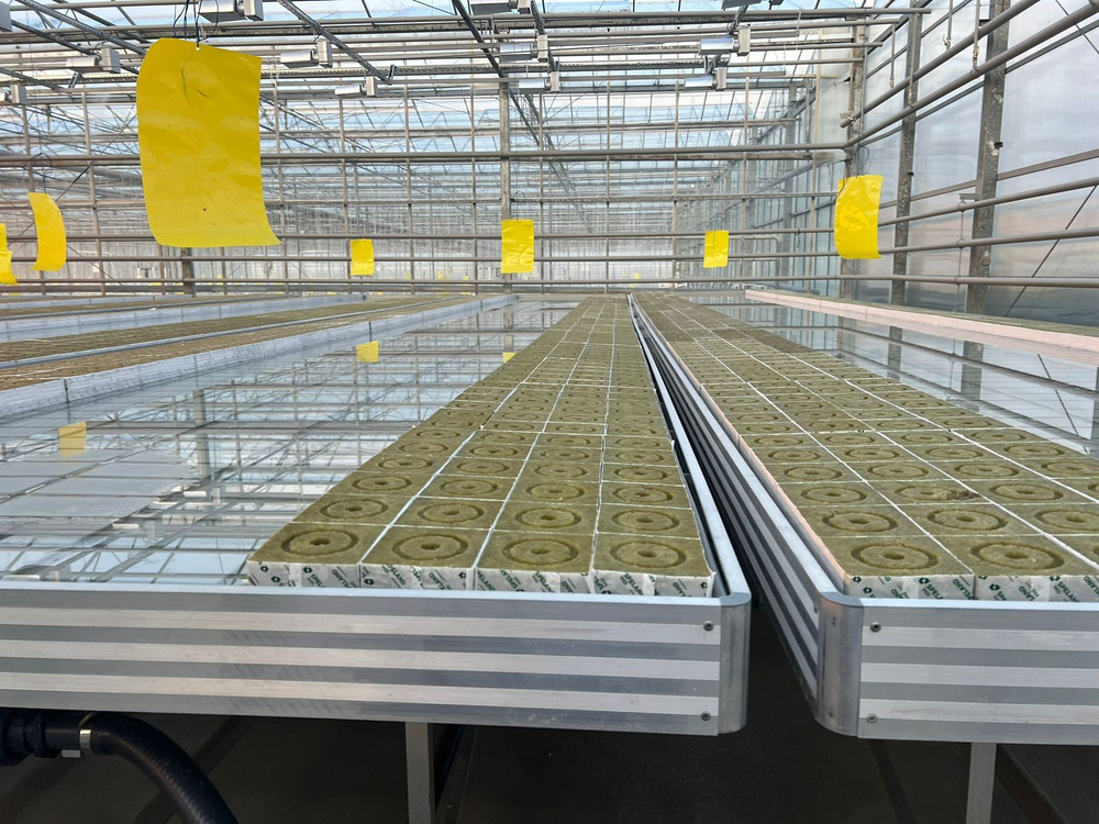 Стол 1820х3020х800мм в комплекте с поддоном-вкладышем