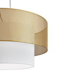 Подвесной светильник Freya Lattice FR5528PL-01BS