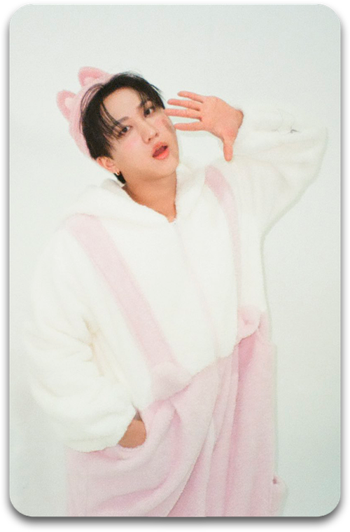 Карта / STRAY KIDS #3867