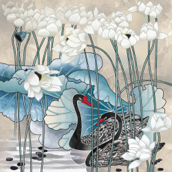 Коллекция Grafika Natura