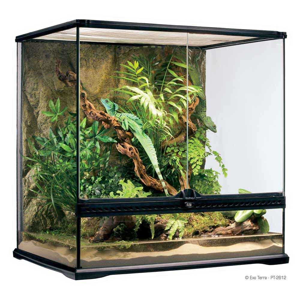 Hagen Exo Terra Terrarium Medium Tall - террариум из стекла 60x45x60см с дверцами, покровной сеткой и декоративным фоном