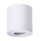 Потолочный светильник Arte Lamp Galopin A1460PL-1WH