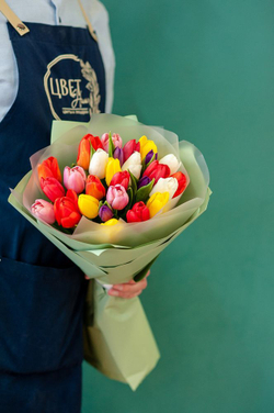 Микс тюльпаны