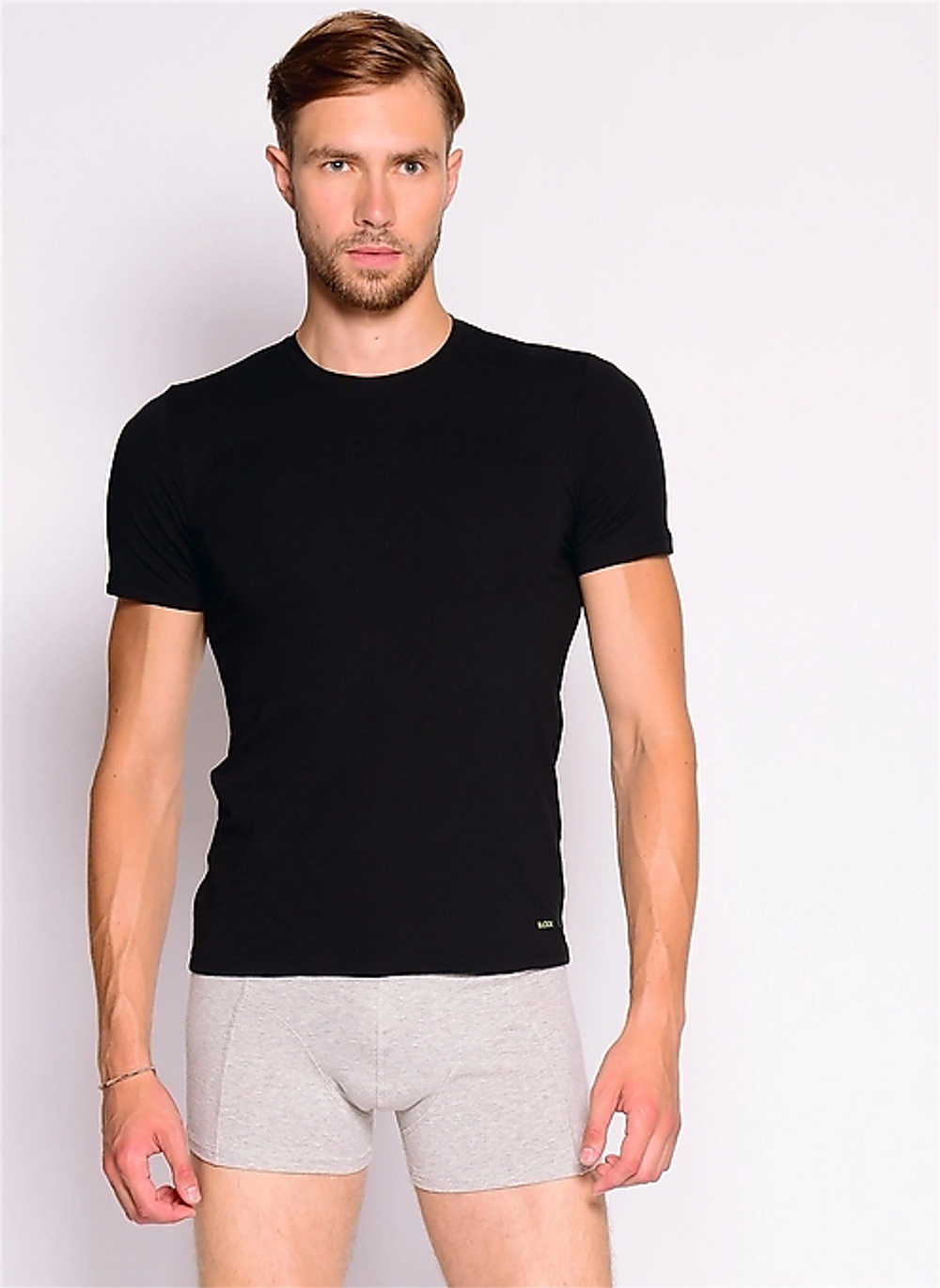 Футболка мужская Tender Cotton. Комплект из 2-х штук