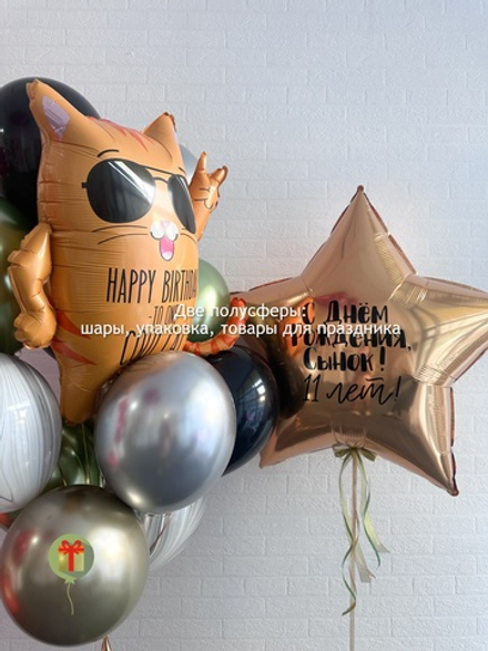 Набор шаров Крутой кот