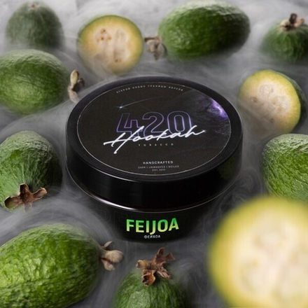 420 Dark Line - Feijoa (100г)