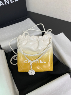 Chanel 22 Mini Handbag 20 cm
