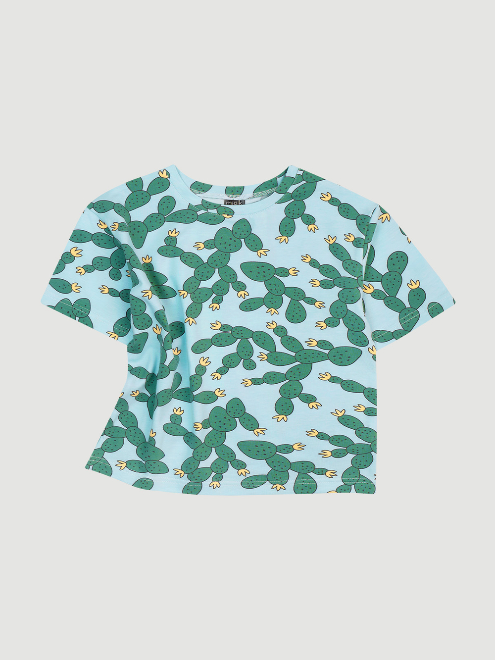 Футболка оверсайз Mjölk Cactus
