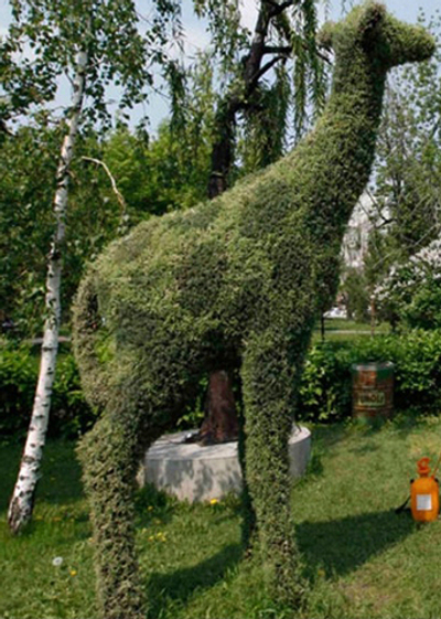 Топиарная фигура Жираф большой