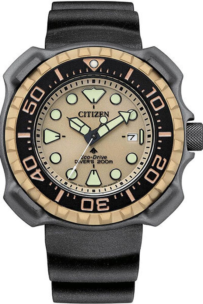 Мужские наручные часы Citizen BN0226-10P