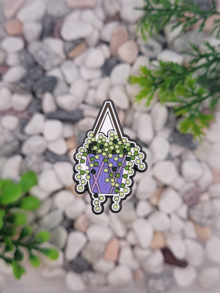 Значок Крестовник Роули