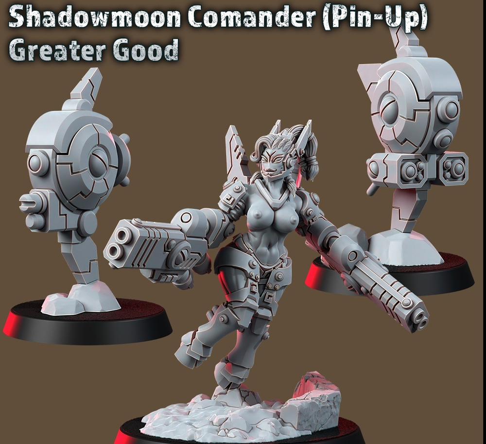 Tau Shadowmoon Comander Pinup