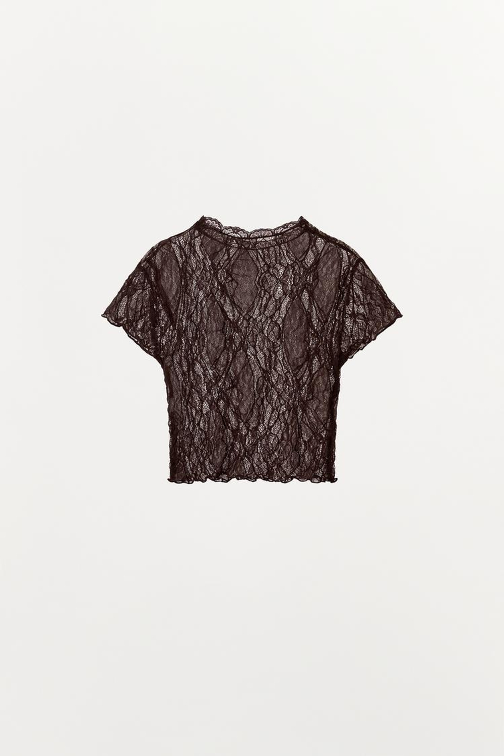 ZARA КРУЖЕВНОЙ КРОП-ТОП, ТЕМНО-КОРИЧНЕВЫЙ