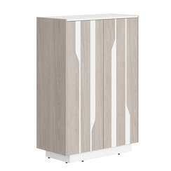 Шкаф СФ-574202  900х430х1305 LINE