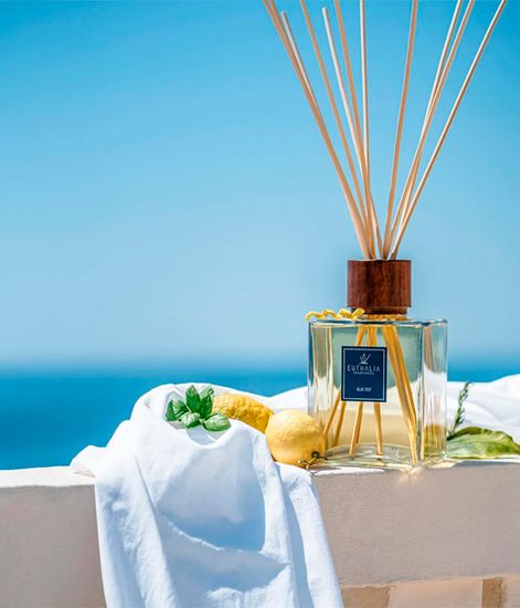 Blue Zest, ароматический диффузор с палочками, Euthalia Fragrances