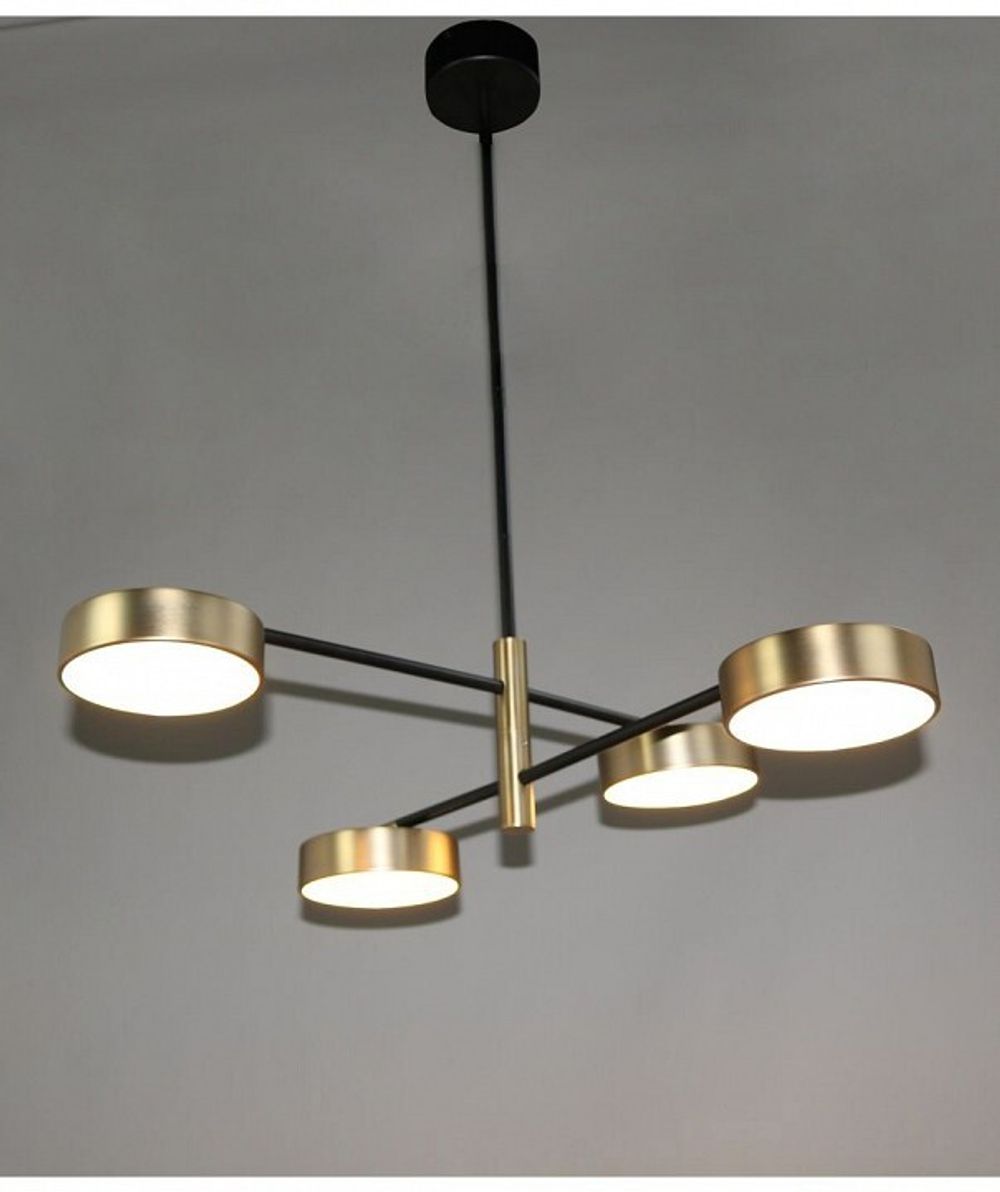 Подвесная люстра Zortes Lunar ZRS.01243.04