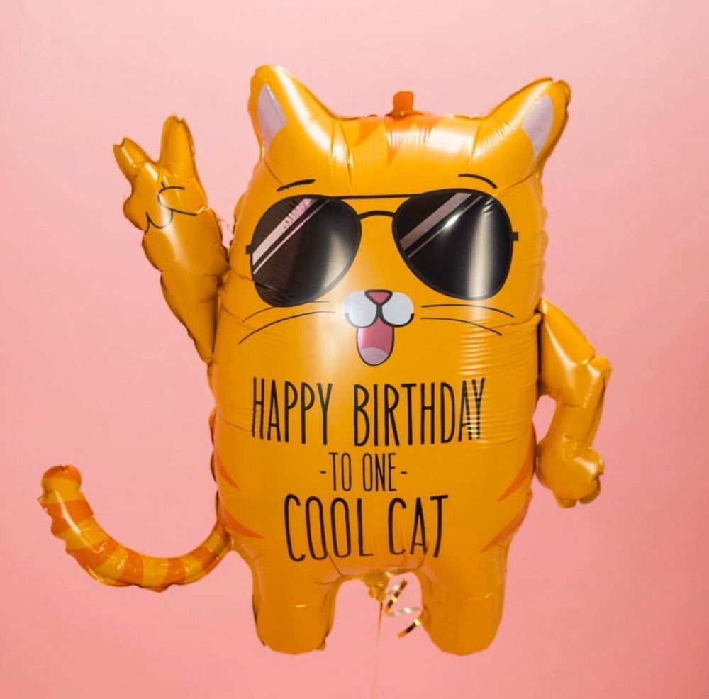 BT Шар фигура КОТ Классный кот Happy birthday cool cat 33"/83 8 см (БГ-32)  Изображение5