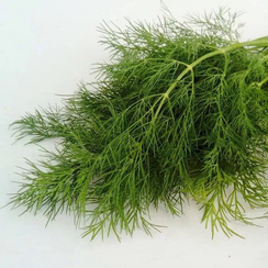 Стардаст семена укропа (Гавриш)