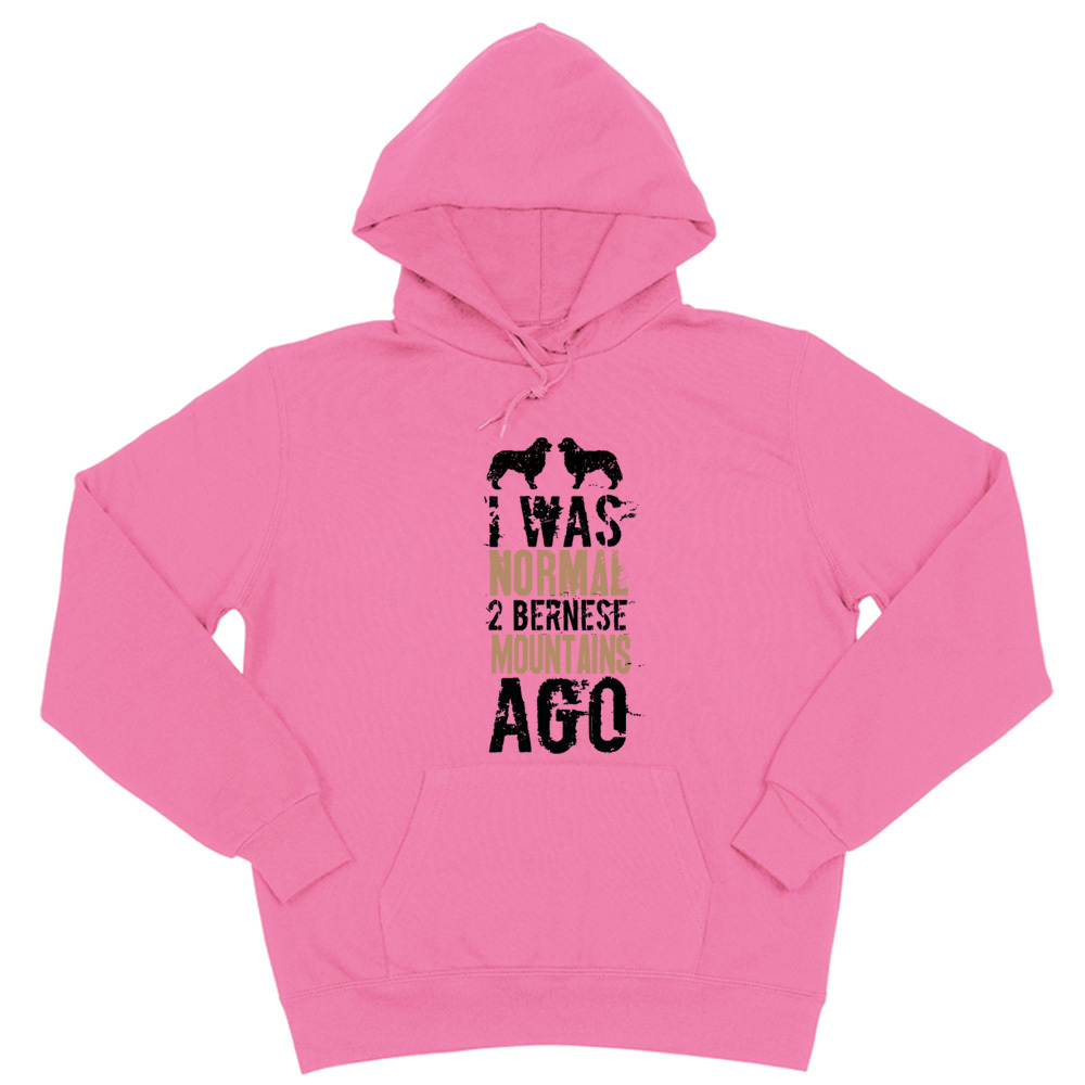 Толстовка "Был нормальным 2 Берна назад"